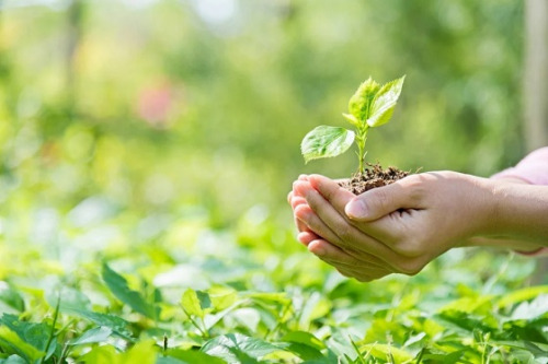 Gestão Ambiental