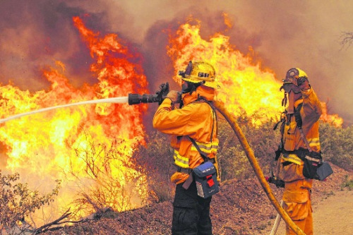 Prevenção e Combate a Incêndio Florestal